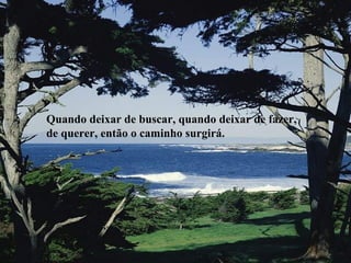Quando deixar de buscar, quando deixar de fazer,
de querer, então o caminho surgirá.
 