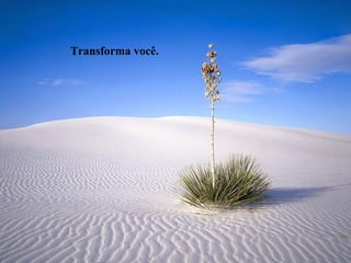 Transforma você.
 