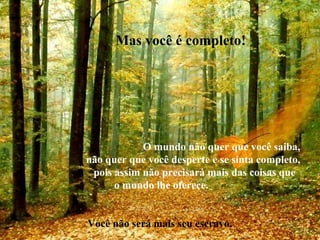 Mas você é completo!
O mundo não quer que você saiba,
não quer que você desperte e se sinta completo,
pois assim não precisará mais das coisas que
o mundo lhe oferece.
Você não será mais seu escravo.
 