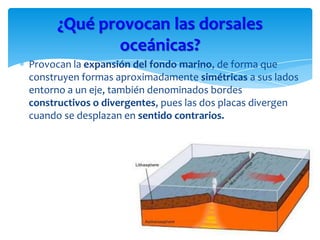 Provocan la expansión del fondo marino, de forma que
construyen formas aproximadamente simétricas a sus lados
entorno a un eje, también denominados bordes
constructivos o divergentes, pues las dos placas divergen
cuando se desplazan en sentido contrarios.
¿Qué provocan las dorsales
oceánicas?
 