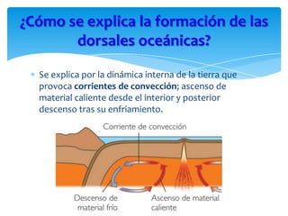 Se explica por la dinámica interna de la tierra que
provoca corrientes de convección; ascenso de
material caliente desde el interior y posterior
descenso tras su enfriamiento.
¿Cómo se explica la formación de las
dorsales oceánicas?
 