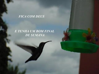 FICA COM DEUS E TENHA UM BOM FINAL  DE SEMANA 