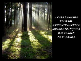 A CASA BANHADA PELO SOL NASCENTE OFERECE SOMBRA TRANQUILA DAS TARDES NA VARANDA. 