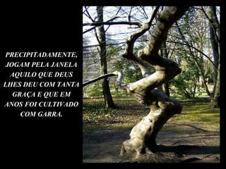 PRECIPITADAMENTE, JOGAM PELA JANELA AQUILO QUE DEUS LHES DEU COM TANTA GRAÇA E QUE EM ANOS FOI CULTIVADO COM GARRA. 