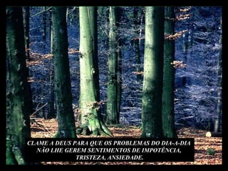 CLAME A DEUS PARA QUE OS PROBLEMAS DO DIA-A-DIA  NÃO LHE GEREM SENTIMENTOS DE IMPOTÊNCIA,  TRISTEZA, ANSIEDADE. 