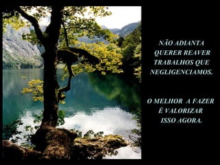 NÃO ADIANTA QUERER REAVER TRABALHOS QUE NEGLIGENCIAMOS. O MELHOR  A FAZER  É VALORIZAR  ISSO AGORA . 