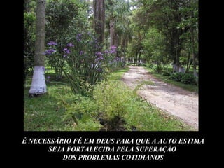 É NECESSÁRIO FÉ EM DEUS PARA QUE A AUTO ESTIMA SEJA FORTALECIDA PELA SUPERAÇÃO  DOS PROBLEMAS COTIDIANOS 