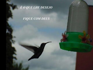 É O QUE LHE DESEJO FIQUE COM DEUS 