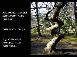 JOGAM PELA JANELA
AQUILO QUE DEUS
LHES DEU,



COM TANTA GRAÇA,



E QUE EM ANOS
FOI CULTIVADO
COM GARRA.
 