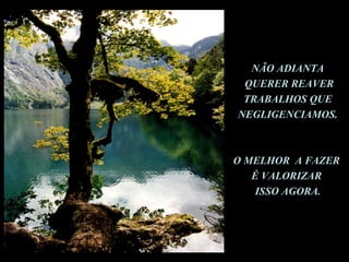 NÃO ADIANTA
 QUERER REAVER
 TRABALHOS QUE
NEGLIGENCIAMOS.



O MELHOR A FAZER
   É VALORIZAR
    ISSO AGORA.
 