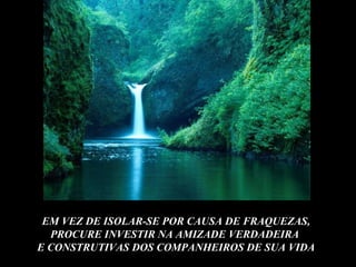 EM VEZ DE ISOLAR-SE POR CAUSA DE FRAQUEZAS,
  PROCURE INVESTIR NA AMIZADE VERDADEIRA
E CONSTRUTIVAS DOS COMPANHEIROS DE SUA VIDA
 