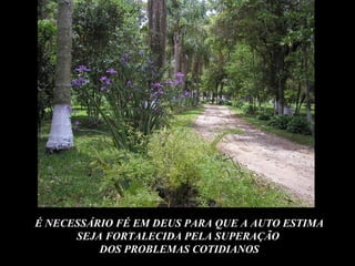 É NECESSÁRIO FÉ EM DEUS PARA QUE A AUTO ESTIMA
      SEJA FORTALECIDA PELA SUPERAÇÃO
          DOS PROBLEMAS COTIDIANOS
 
