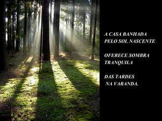 A CASA BANHADA
PELO SOL NASCENTE

OFERECE SOMBRA
TRANQUILA

DAS TARDES
NA VARANDA.
 