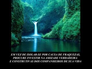 EM VEZ DE ISOLAR-SE POR CAUSA DE FRAQUEZAS, PROCURE INVESTIR NA AMIZADE VERDADEIRA  E CONSTRUTIVAS DOS COMPANHEIROS DE SUA VIDA 