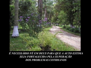É NECESSÁRIO FÉ EM DEUS PARA QUE A AUTO ESTIMA SEJA FORTALECIDA PELA SUPERAÇÃO  DOS PROBLEMAS COTIDIANOS 
