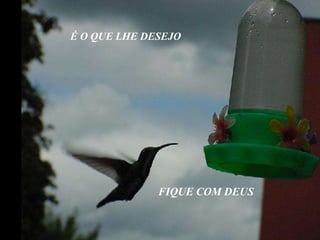 É O QUE LHE DESEJO FIQUE COM DEUS 