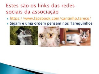  https://www.facebook.com/cantinho.tareco/
 Sigam e uma ordem pensem nos Tarequinhos
 
