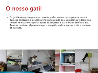  O gatil é composto por uma receção, enfermaria e zonas para os nossos
Tarecos brincarem e descansarem, com a ajuda dos voluntários e donativos
tentam ao máximo suportar todas as despesas e dar o maior conforto aos.
Tarecos mostram algumas imagens do gatil, podem marcar visita e conhecer
os Tarecos.
 