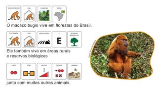 A
c
e
r
v
o
Q
u
i
n
t
a
d
a
E
s
t
â
n
c
i
a
O macaco bugio vive em florestas do Brasil.
Ele também vive em áreas rurais
e reservas biológicas
BRASIL
MACACO BUGIO
junto com muitos outros animais.
VIVE
MUITOS
!
ÁREAS RURAIS RESERVAS
BIOLÓGICAS
FLORESTAS
ELE TAMBÉM
COM ANIMAIS
JUNTO OUTROS
VIVE E
 