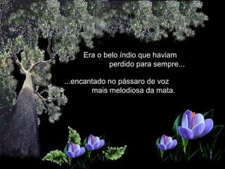   Era o belo índio que haviam  perdido para sempre...   ...encantado no pássaro de voz  mais melodiosa da mata.  