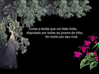 Conta a lenda que um belo índio,  disputado por todas as jovens da tribo,  foi morto por seu rival.  