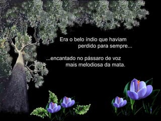   Era o belo índio que haviam  perdido para sempre...   ...encantado no pássaro de voz  mais melodiosa da mata.  