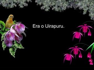   Era o Uirapuru.  