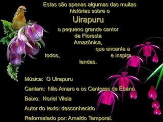 Estas são apenas algumas das muitas
                 histórias sobre o
                       Uirapuru
             o pequeno grande cantor
                   da Floresta
                   Amazônica,
                           que encanta a
        todos,                   e inspira
                     lendas.


Música: O Uirapuru
Cantam: Nilo Amaro e os Cantores de Ébano
Baixo: Noriel Vilela
Autor do texto: desconhecido
Reformatado por: Arnaldo Temporal.
 