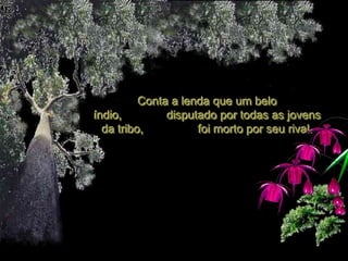 Conta a lenda que um belo
índio,         disputado por todas as jovens
  da tribo,          foi morto por seu rival.
 