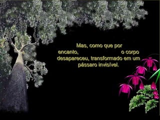 Mas, como que por
encanto,                   o corpo
desapareceu, transformado em um
        pássaro invisível.
 