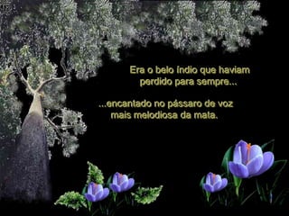 Era o belo índio que haviam
        perdido para sempre...

...encantado no pássaro de voz
    mais melodiosa da mata.
 