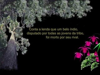 Conta a lenda que um belo índio,Conta a lenda que um belo índio,
disputado por todas as jovens da tribo,disputado por todas as jovens da tribo,
foi morto por seu rival.foi morto por seu rival.
 