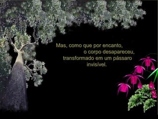 Mas, como que por encanto,Mas, como que por encanto,
o corpo desapareceu,o corpo desapareceu,
transformado em um pássarotransformado em um pássaro
invisível.invisível.
 