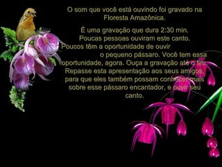 O som que você está ouvindo foi gravado na
           Floresta Amazônica.
      É uma gravação que dura 2:30 min.
      Poucas pessoas ouviram este canto.
Poucos têm a oportunidade de ouvir
            o pequeno pássaro. Você tem essa
oportunidade, agora. Ouça a gravação até o fim.
 Repasse esta apresentação aos seus amigos,
 para que eles também possam conhecer mais
  sobre esse pássaro encantador, e ouvir seu
                     canto.
 