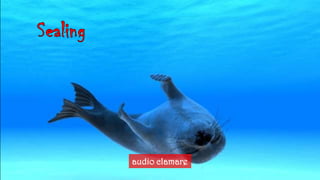 Sealingaudioclamare