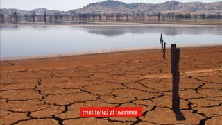 tristitat(e) et lacrimis