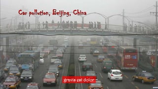 Carpollution, Beijing, Chinagravis est dolor