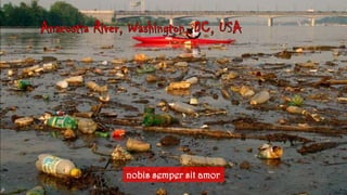 Anacostia River, Washington, DC, USAnobissempersit amor