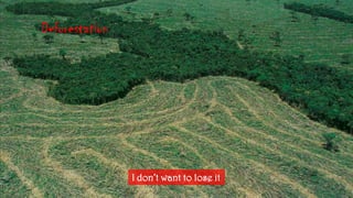 DeforestationI don’twanttolose it