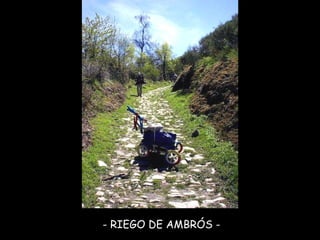 - RIEGO DE AMBRÓS - 