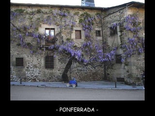 - PONFERRADA - 