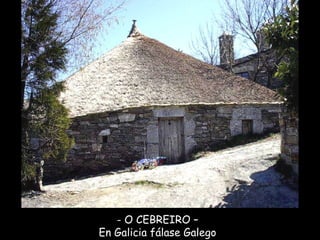 O CEBREIRO – En Galicia fálase Galego 