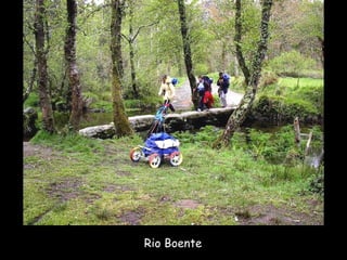 Rio Boente 