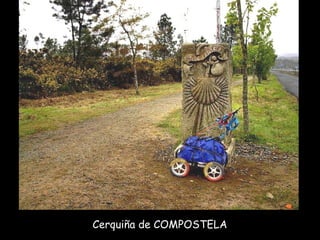 Cerquiña de COMPOSTELA  