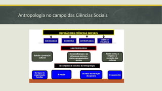 Antropologia no campo das Ciências Sociais
 
