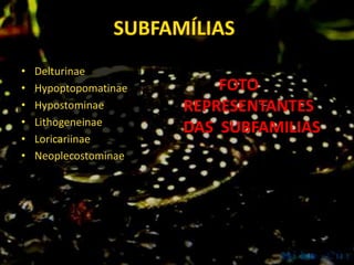 Acanthicus        Cteniloricaria     Hisonotus           Guyanancistrus
Acestridium       Dasyloricaria      Hopliancistru...