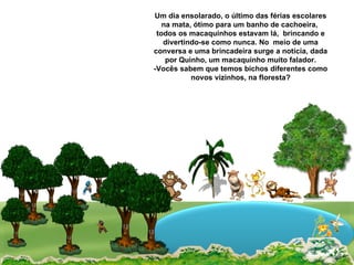 Um dia ensolarado, o último das férias escolares na mata, ótimo para um banho de cachoeira,  todos os macaquinhos estavam lá,  brincando e divertindo-se como nunca. No  meio de uma conversa e uma brincadeira surge a notícia, dada por Quinho, um macaquinho muito falador. -Vocês sabem que temos bichos diferentes como novos vizinhos, na floresta? 