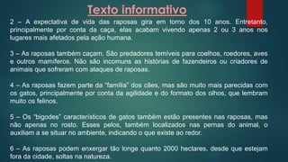 Texto informativo
2 – A expectativa de vida das raposas gira em torno dos 10 anos. Entretanto,
principalmente por conta da caça, elas acabam vivendo apenas 2 ou 3 anos nos
lugares mais afetados pela ação humana.
3 – As raposas também caçam. São predadores temíveis para coelhos, roedores, aves
e outros mamíferos. Não são incomuns as histórias de fazendeiros ou criadores de
animais que sofreram com ataques de raposas.
4 – As raposas fazem parte da “família” dos cães, mas são muito mais parecidas com
os gatos, principalmente por conta da agilidade e do formato dos olhos, que lembram
muito os felinos.
5 – Os “bigodes” característicos de gatos também estão presentes nas raposas, mas
não apenas no rosto. Esses pelos, também localizados nas pernas do animal, o
auxiliam a se situar no ambiente, indicando o que existe ao redor.
6 – As raposas podem enxergar tão longe quanto 2000 hectares, desde que estejam
fora da cidade, soltas na natureza.
 