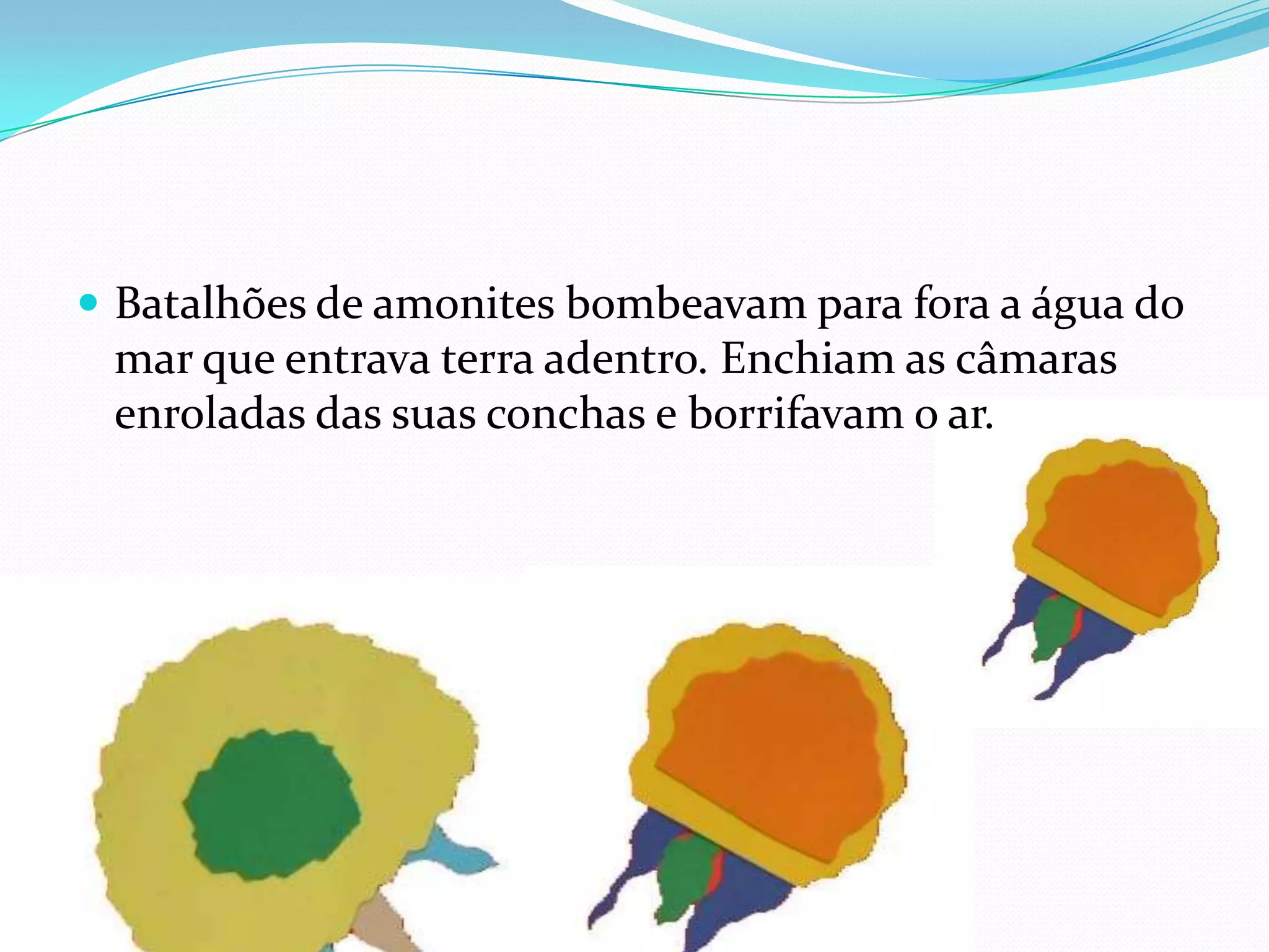 Batalhões de amonites bombeavam para fora a água do mar que entrava terra adentro. Enchiam as câmaras enroladas das suas conchas e borrifavam o ar.