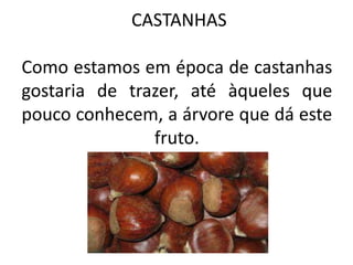 CASTANHAS
Como estamos em época de castanhas
gostaria de trazer, até àqueles que
pouco conhecem, a árvore que dá este
fruto.

 